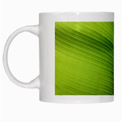 Ensete Leaf White Mugs by picsaspassion