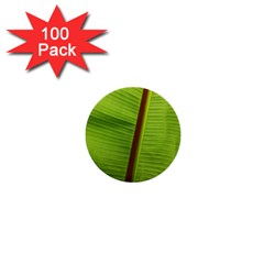 Ensete Leaf 1  Mini Buttons (100 Pack)  by picsaspassion