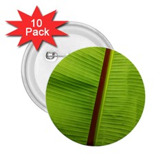 Ensete Leaf 2 25  Buttons (10 Pack)  by picsaspassion