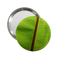 Ensete Leaf 2 25  Handbag Mirrors by picsaspassion