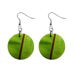 Ensete Leaf Mini Button Earrings by picsaspassion