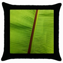 Ensete Leaf Throw Pillow Case (black) by picsaspassion