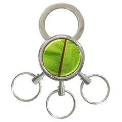 Ensete Leaf 3-ring Key Chains