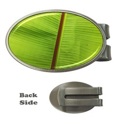 Ensete Leaf Money Clips (oval)  by picsaspassion