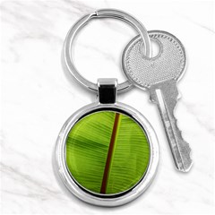 Ensete Leaf Key Chains (round)  by picsaspassion