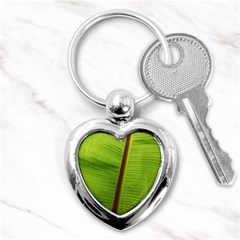 Ensete Leaf Key Chains (heart)  by picsaspassion