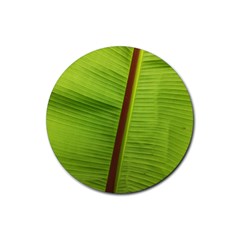 Ensete Leaf Rubber Round Coaster (4 Pack)  by picsaspassion