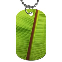 Ensete Leaf Dog Tag (two Sides) by picsaspassion