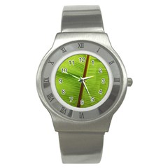 Ensete Leaf Stainless Steel Watch by picsaspassion