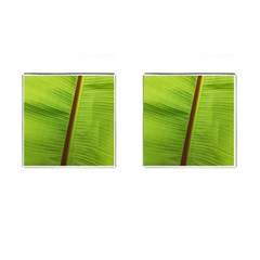 Ensete Leaf Cufflinks (square) by picsaspassion