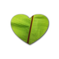 Ensete Leaf Heart Coaster (4 Pack) 