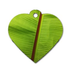 Ensete Leaf Dog Tag Heart (two Sides) by picsaspassion