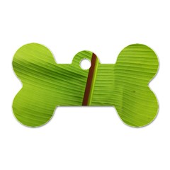 Ensete Leaf Dog Tag Bone (two Sides) by picsaspassion