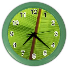 Ensete Leaf Color Wall Clocks by picsaspassion