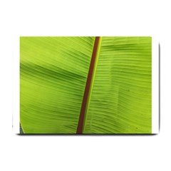 Ensete Leaf Small Doormat  by picsaspassion