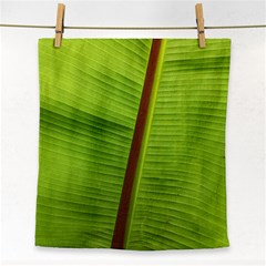 Ensete Leaf Face Towel