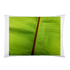 Ensete Leaf Pillow Case by picsaspassion