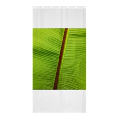 Ensete Leaf Shower Curtain 36  X 72  (stall)  by picsaspassion