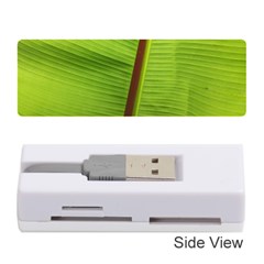 Ensete Leaf Memory Card Reader (stick) 