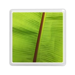 Ensete Leaf Memory Card Reader (square)  by picsaspassion