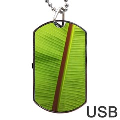 Ensete Leaf Dog Tag Usb Flash (one Side)