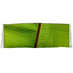 Ensete Leaf Body Pillow Case (dakimakura) by picsaspassion