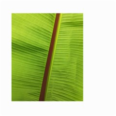 Ensete Leaf Large Garden Flag (two Sides) by picsaspassion