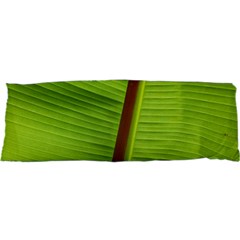 Ensete Leaf Samsung S3350 Hardshell Case