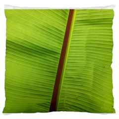 Ensete Leaf Standard Flano Cushion Case (one Side) by picsaspassion