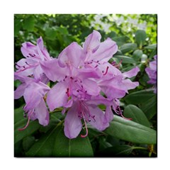 Purple Rhododendron Flower Tile Coasters