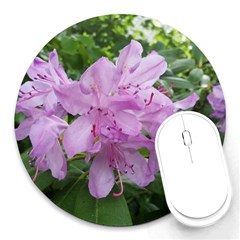 Purple Rhododendron Flower Round Mousepads by picsaspassion