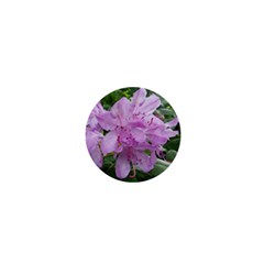 Purple Rhododendron Flower 1  Mini Magnets