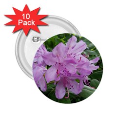 Purple Rhododendron Flower 2 25  Buttons (10 Pack)  by picsaspassion