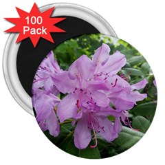 Purple Rhododendron Flower 3  Magnets (100 Pack) by picsaspassion