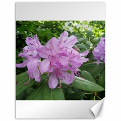 Purple Rhododendron Flower Canvas 18  X 24   by picsaspassion