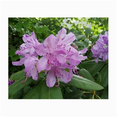 Purple Rhododendron Flower Small Glasses Cloth (2-side) by picsaspassion