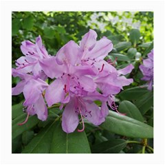 Purple Rhododendron Flower Medium Glasses Cloth by picsaspassion