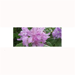 Purple Rhododendron Flower Large Bar Mats by picsaspassion