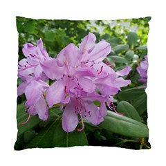 Purple Rhododendron Flower Standard Cushion Case (one Side) by picsaspassion