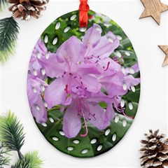 Purple Rhododendron Flower Oval Filigree Ornament (2-side) 