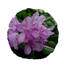 Purple Rhododendron Flower Standard 15  Premium Round Cushions