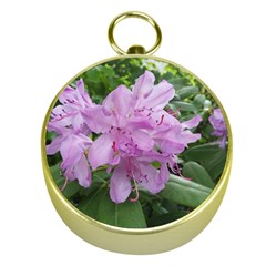 Purple Rhododendron Flower Gold Compasses by picsaspassion