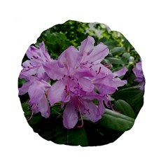 Purple Rhododendron Flower Standard 15  Premium Flano Round Cushions by picsaspassion