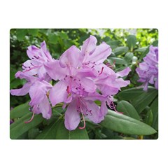 Purple Rhododendron Flower Double Sided Flano Blanket (mini)  by picsaspassion