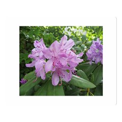 Purple Rhododendron Flower Double Sided Flano Blanket (large)  by picsaspassion