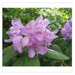 Purple Rhododendron Flower Large Satin Scarf (square) by picsaspassion