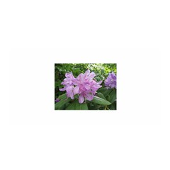 Purple Rhododendron Flower Satin Wrap by picsaspassion