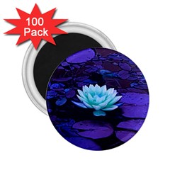 Lotus Flower Magical Colors Purple Blue Turquoise 2 25  Magnets (100 Pack)  by yoursparklingshop