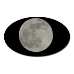 Close To The Full Moon Oval Magnet