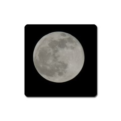 Close To The Full Moon Square Magnet by picsaspassion